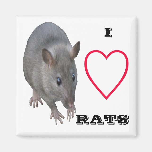 I Liebe Rats Magnet (Vorne)