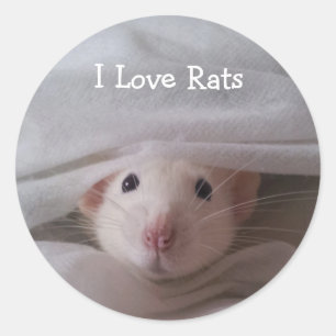 I Liebe-Ratten-Aufkleber Runder Aufkleber