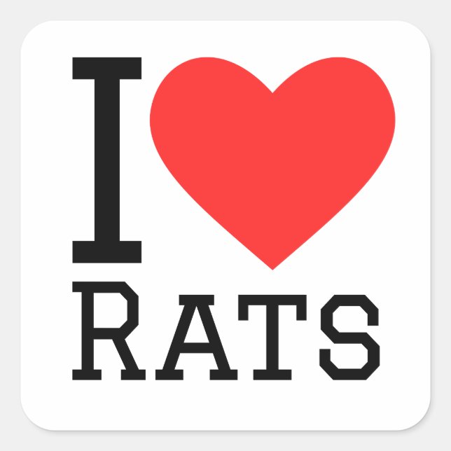 I Liebe Ratten Quadratischer Aufkleber (Vorderseite)