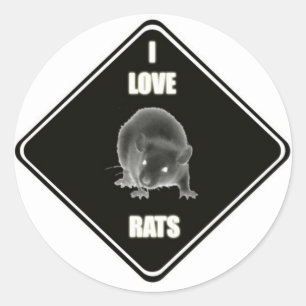 I Liebe Ratten Runder Aufkleber