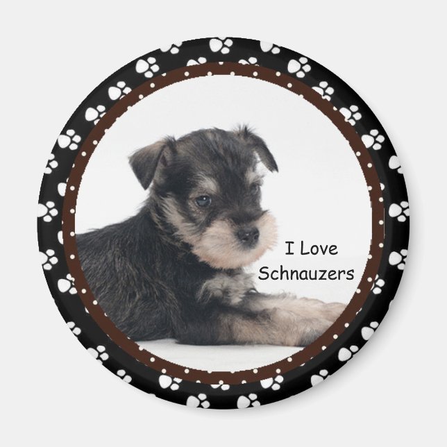 I Liebe Schnauzers Magnet (Vorne)