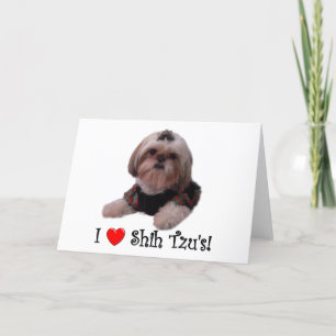 I Liebe Shih Tzu Karte