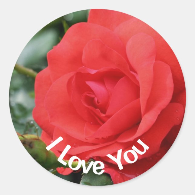 I Liebe Sie Rote Rose Blume  Runder Aufkleber (Vorderseite)
