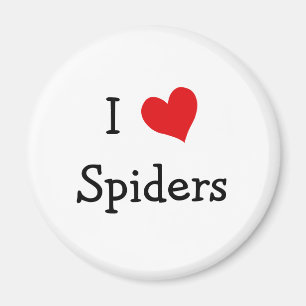 I Liebe Spiders Magnet
