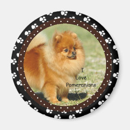 I Liebe Spitz Dog Magnet