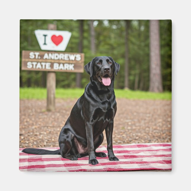 I Liebe St. Andrews Staat Bark Magnet (Vorne)