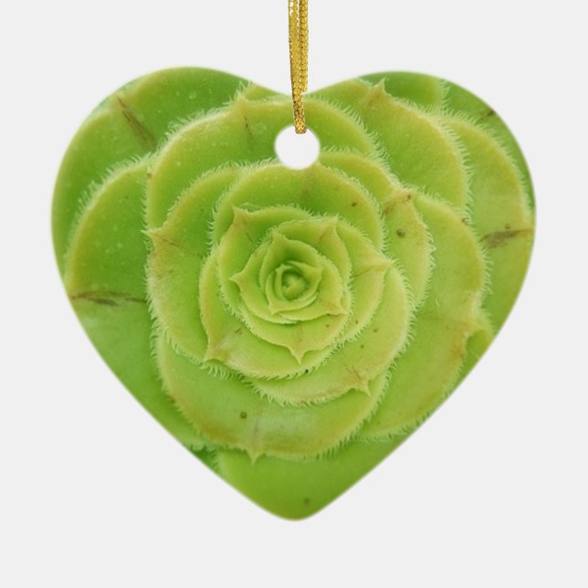 I Liebe Sukkulationen Keramik Ornament (Vorne)