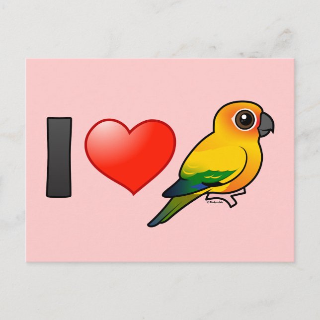 I Liebe Sun Conures Postkarte (Vorderseite)