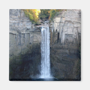 I Liebe Taughannock Falls Magnet