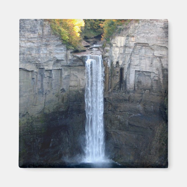 I Liebe Taughannock Falls Magnet (Vorne)