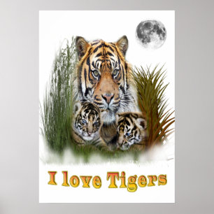 I Liebe Tiger Poster