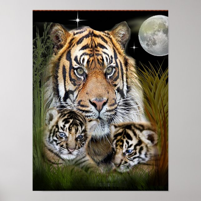 I Liebe Tigers Poster (Vorne)