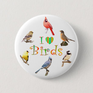 I LIEBE-VÖGEL BUTTON