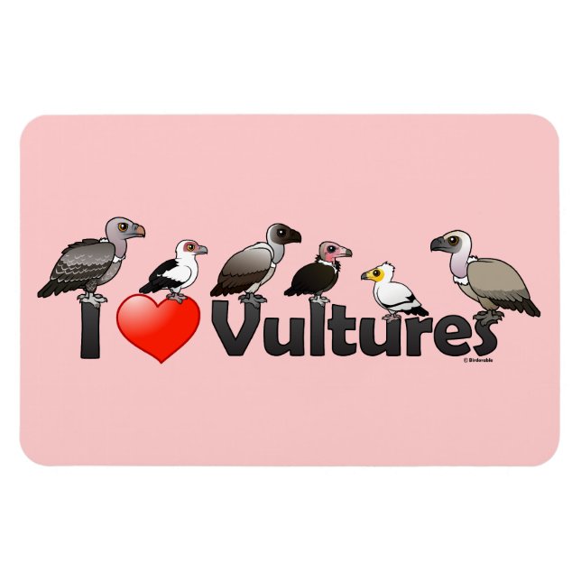 I Liebe Vultures (Afrika) Magnet (Horizontal)