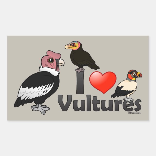 I Liebe Vultures (Südamerika) Rechteckiger Aufkleber (Vorderseite)