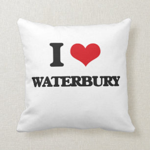 I Liebe Waterbury Kissen