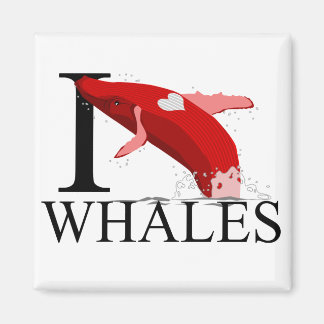 I Liebe Whales Magnete Magnet