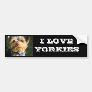 I Liebe Yorkies Autoaufkleber