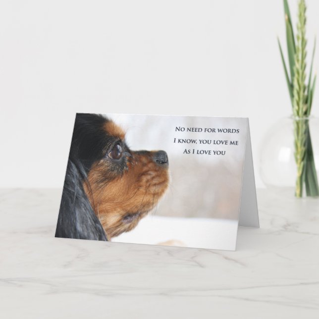 I Liebe You Cavalier King Charles Spaniel Card Karte (Vorderseite)