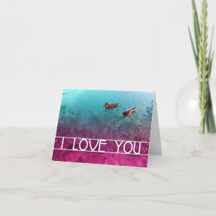 i Liebe you : Entenpaar Karte