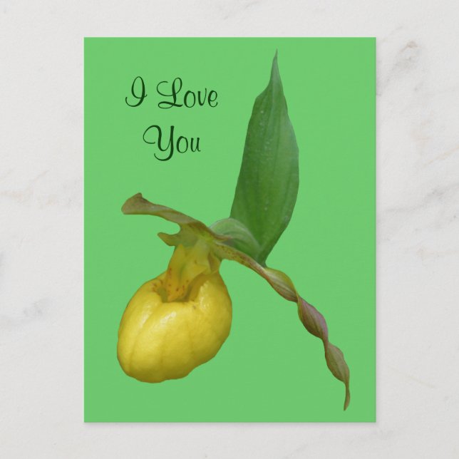 I Liebe You Lady Slipper Blume Foto Postkarte (Vorderseite)