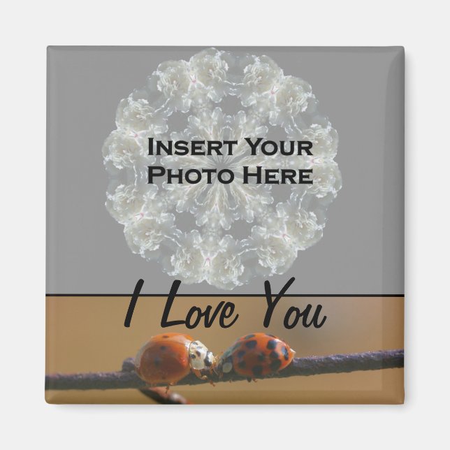 I Liebe You Ladybugs Foto Magnet (Vorne)