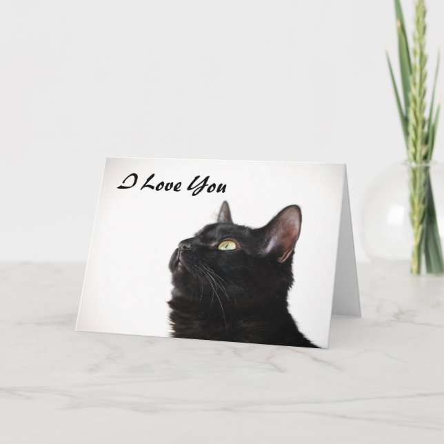 I Liebe You Pussycat Card Karte (Vorderseite)