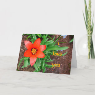 i Liebe you Red Tulip Card Karte