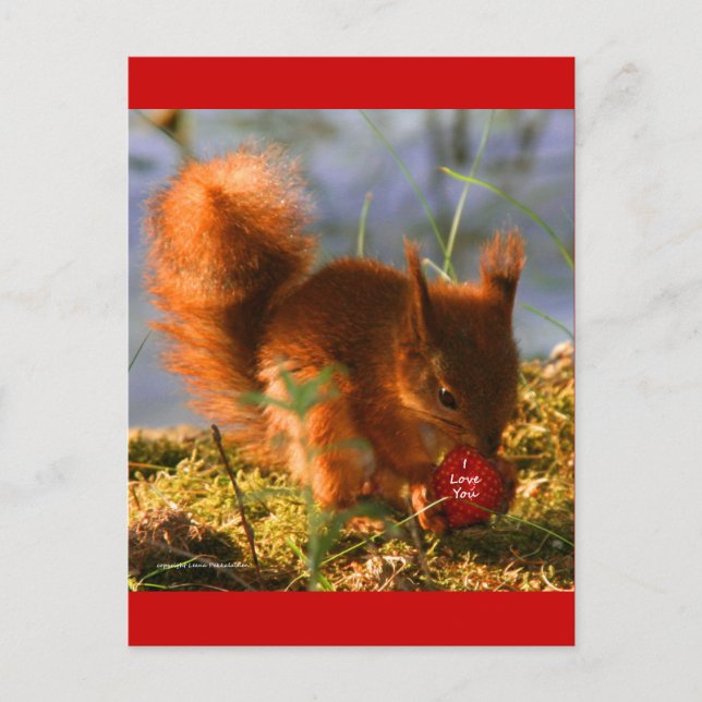 I Liebe You Strawberry Postkarte (Vorderseite)