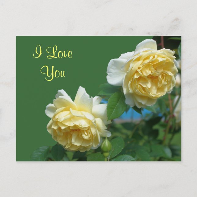 I Liebe You Yellow Roses Blume Foto Postkarte (Vorderseite)