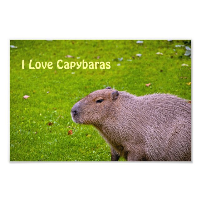 I Love Capybaras Photo Élargissement (Devant)