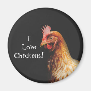 I Love Chickens Magnet