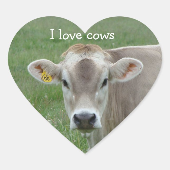 I Love Cows Heart Sticker (Devant)