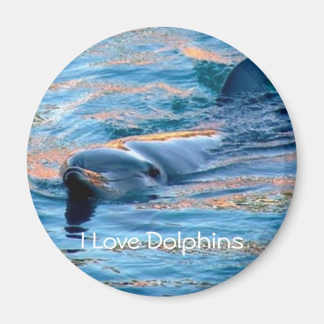 I Love Dolphins Magnet (Devant)