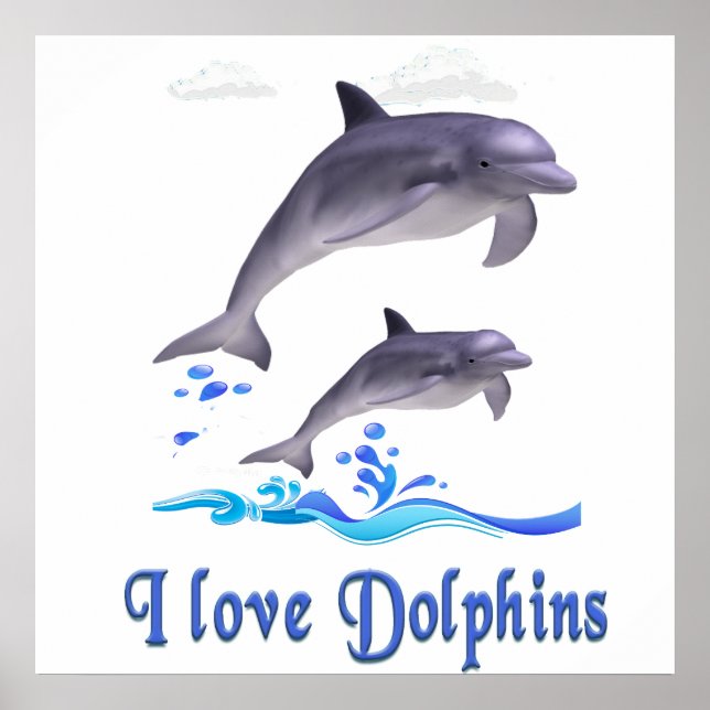 I love Dolphins Poster (Vorne)