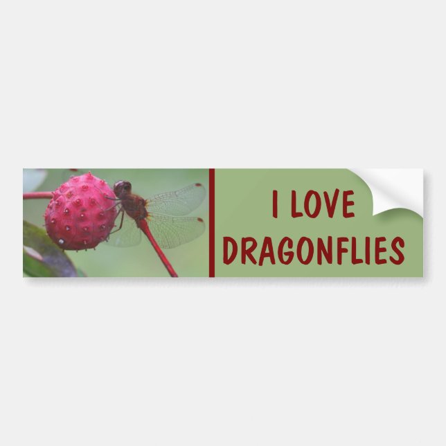 I Love Dragonflies Nature Autoaufkleber (Vorne)