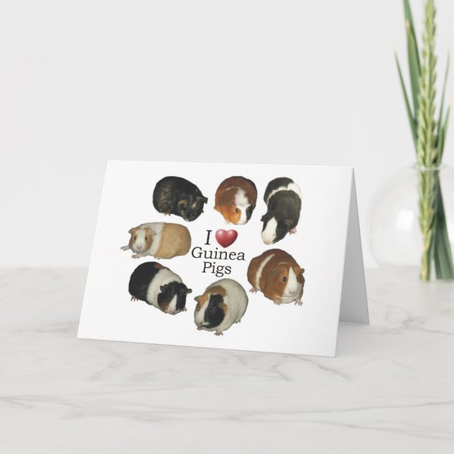 I Love Guinea Pigs - Carte pour notes (Devant)