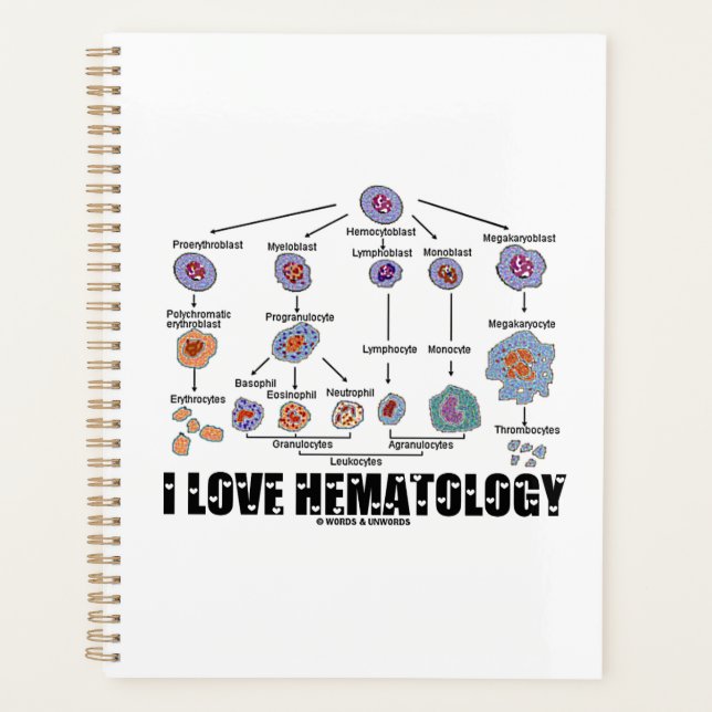I Love Hématologie Linéage de la cellule sanguine (Devant)