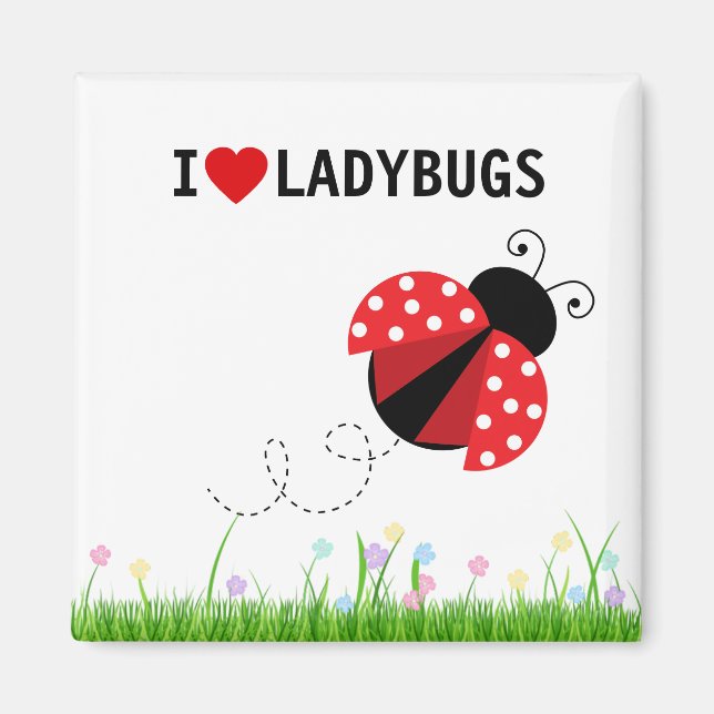 I Love Ladybugs Magnet (Devant)