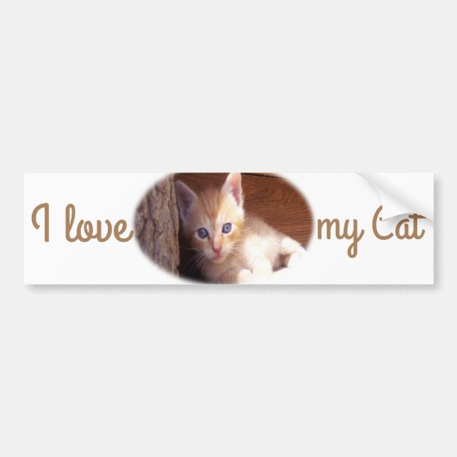 I love my Cat Bumper Sticker Autoaufkleber (Vorne)