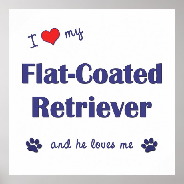 I Love My Flat-Coated Retriever (Male Dog) Poster (Vorne)