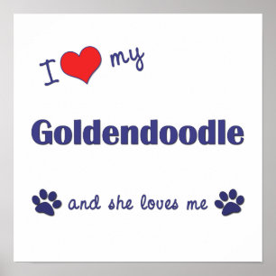 I Love My Goldendoodle (Female Dog) Poster Imprime