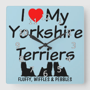 I Love My THREE Yorkshire Terrier Dogs Quadratische Wanduhr