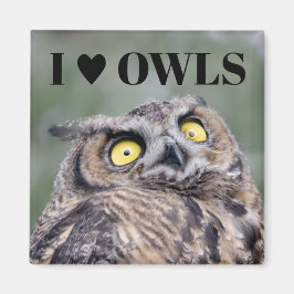 I Love Owls Magnet
