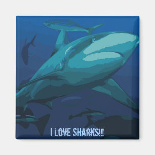 I Love Sharks Magnet