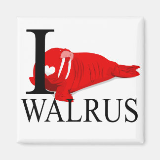 I Love Walrus Magnets