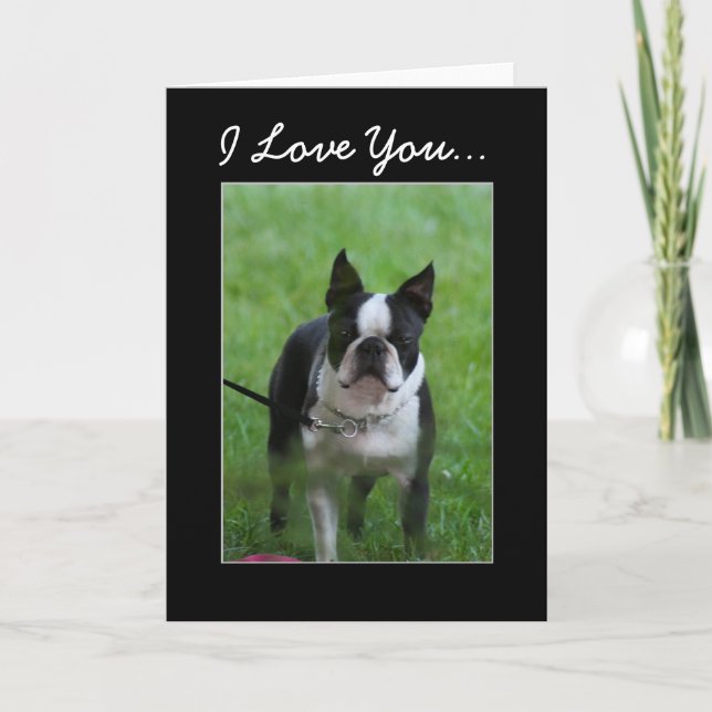 I Love you Boston Terrier carte de voeux (Devant)