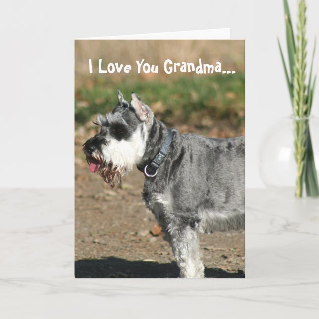 I Love You Grandma Schnauzer Chien Carte de voeux (Devant)