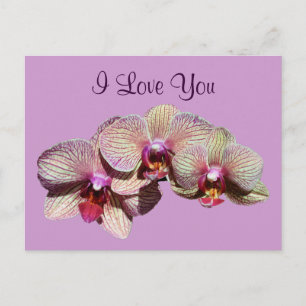 I Love You Orchid Trio Flower Photo Carte postale