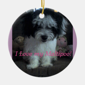 I Lovee mon Maltipoo ! Ornement